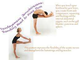 Bikram Yoga Sacramento Bikram Yoga Poses Bikram Yoga Poses Bikram Yoga Hatha Yoga Poses