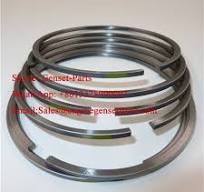 Cummins 6CT Piston Ring Kit C3919918 C3921919 ...