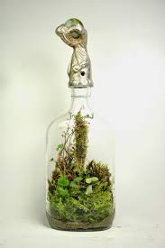 The Slug And The Squirrel Terrarium Plants Bottle Garden Miniature Garden