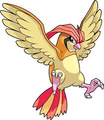 pokemon 2017 shiny pidgeotto pokedex evolution moves