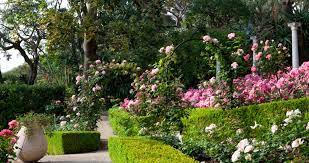 25 belle les jardins des fleurs bouskoura