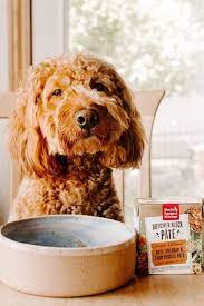 The food and drug administration (fda) regulates the manufacture of cat food, dog food, and dog treats or snacks you have in your pantry. Sniff Out These 6 Eco Friendly Dog Food Brands