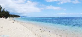 نتیجه جستجوی لغت [reunion] در گوگل