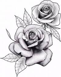 Flores Bg Flores Rosetattoo Tattoo In 2020 Rose Drawing Tattoo Rose Flower Tattoos Floral Tattoo Sleeve