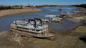 Image result for Rouge Marina 1986 UMM