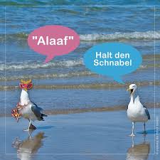 Fasching Im Norden Karneval Spruche Fasching Spruche Lustige Bilder