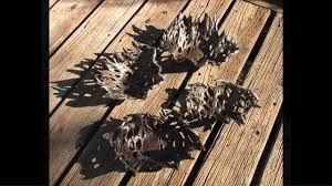 5841 cactus wren rd, paradise valley, az 85253. Cactus Wren Artisans At Cat Mountain Station Local Business Tucson Arizona Facebook 418 Photos