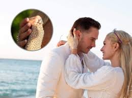 Carter reum dating, married, wife. Paris Hilton The Magical Weekend Paris Hilton Gets Engaged To Entrepreneur Carter Reum On Her Birthday The Economic Times