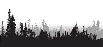 Dark cloudy moody sky over tree line silhouette background lands. A Vector Silhouette Illustration Of A Treeline Of A Densse Forest Landscape Silhouette Forest Silhouette Silhouette Painting