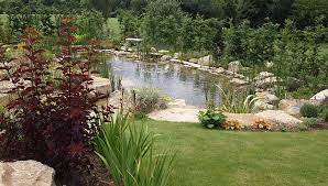 Pond Designs Kadinhayat Org Garden Pond Design Pond Landscaping Pond Design