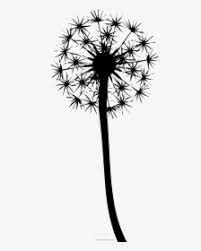 The youngsters can enjoy dandelion coloring page, math worksheets, alphabet worksheets, coloring worksheets and drawing worksheets. Dandelion Coloring Page Dandelion Colouring Pages Hd Png Download Kindpng