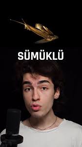 ❓ Sam 2018 yılında, gencecik yaşında öldü. Annesi Katie, Sam'in son  sözlerinin "Seni seviyorum" olduğunu söyledi. Sevgili takipçim, aman  diyeyim canın bir an sümüklü böcek çekmesin!, 🤵🏻‍♂ Anlatıyorum, ...