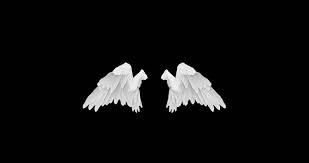 Black and white angel wings. White Angel Wings With An Stock Footage Video 100 Royalty Free 20752618 Shutterstock