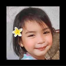 Titled Lot for Sale Sapang Tagalog, Tarlac City 550 meters away from Mc  Arthur highway 2-3 minutes away from Robinsons Luisita, Fast Food chains,  Banks, Hospital, etc 1,500 per sqm 1,000 sqm