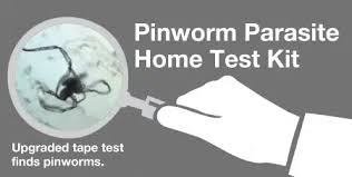 Image result for Pinworm
