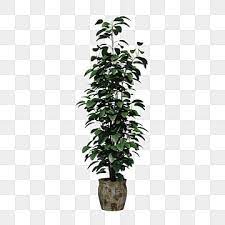 A Pot Of Green Plants Plant Green Flower Pot Png Transparent Clipart Image And Psd File For Free Download Green Flower Pots Plants Flower Pots
