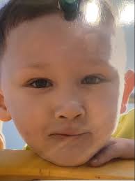 Fundraiser by Rosalie M Donovan-Hebert : Help Hunter