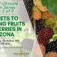 Secrets To Growing Fruits and Berries in Arizona