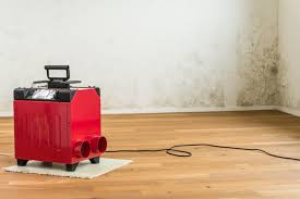 10 tipps und tricks den schimmel in wohnung und haus zu entfernen! Schimmel Entfernen Kosten Preise Heimhelden