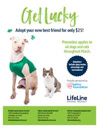 Why buy a puppy for sale if you can adopt and save a life? Local Heroes Come To Animals Rescue Peachtree Corners Magazine