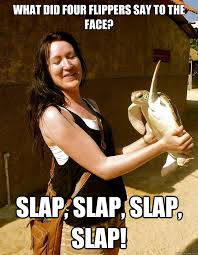 What Did Four Flippers Say To The Face Slap Slap Slap Slap Domestic Violence Turtle Quickmeme