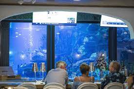 Saltwater Grill Panama City Beach In 2021 Panama City Beach Panama City Panama City Beach
