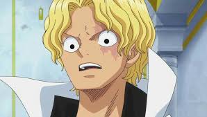 ace sabo luffy おしゃれまとめの人気アイデア pinterest 玄 珍 ワンピースサボ ワンピース アニメ アニメ