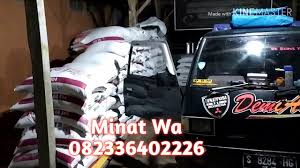 1 tablet sehari pagihari selama 3 hari sebelum di. Jual Pakan Broiler Murah Jual Broiler Murah Jual Pakan Ternak Jual Pakan Ternak Murah Youtube