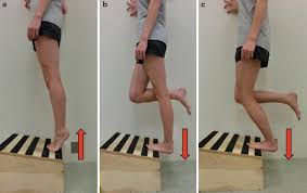 The common term tendonitis is confusing because inflammation is often not seen on histopathology. Nonsurgical Treatment Of Achilles Tendinopathy Springerlink