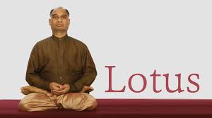 Padmasana Perfecting The Lotus Pose