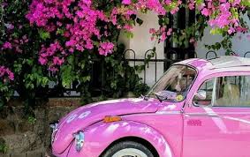 Imagem De Pink Car And Flowers Pink Car Beetle Car Cute Cars