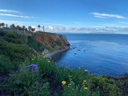 Jun 17, 2021 · palos verdes peninsula news. Welcome To Language Arts English 1 English 1h And English 3 Mrs Tracey Bly Palos Verdes Peninsula High School