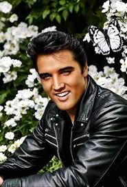 900+ Elvis ideas in 2024