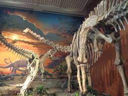 Hours may change under current circumstances Permanent Exhibits New Mexico Museum Of Natural History Science