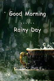 With tenor, maker of gif keyboard, add popular good morning happy spring animated gifs to your conversations. Good Morning Happy Friday Another Rainy Day Here In Westtexas Perfect Sweater Weather To Enjoy Rainy Day Quotes Good Morning Rainy Day Good Morning Rain