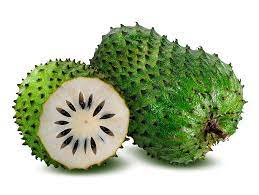 The fruit is very large and the subacid sweet white pulp is eaten out. Barth Fruit Soursop Guanabana