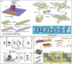 Service address pwsa account #: Recent Progress On Polymer Materials For Additive Manufacturing Tan 2020 Advanced Functional Materials Wiley Online Library