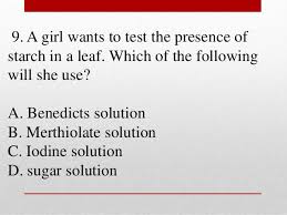 This post was created by a member of the buzzfeed community. Grade 5 Science Quiz Bee