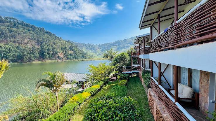 Gorilla trekking safari in Bwindi and Lake Bunyonyi