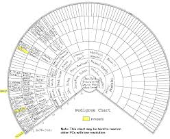 Fan Charts