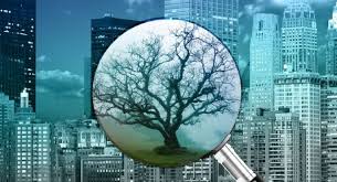 Normativa di riferimento e leggi. Piemonte Pubblicata La Circolare Riferita Alla Legge Sul Riuso Del Suolo Bollettino Di Legislazione Tecnica