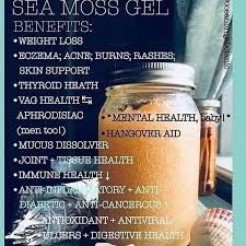Click The Link In My Bio Fruitsnrootz Irish Moss Sea Moss Is A Small Sea Algae That Grows From A Discoid Irisches Moos Pflanzenbasierte Ernahrung Just For You