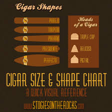Cigar Size Shape Chart Infographic