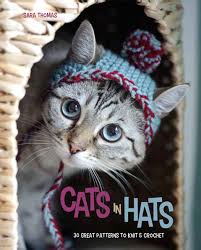 Sometimes pedigreed cats end up at the shelter after losing their home to an owner's death, divorce or change in economic situation. Cats In Hats Published In The Uk Madaboutgreys