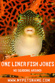 One Liner Fish Jokes Fishing Jokes Fishing Memes Jokes