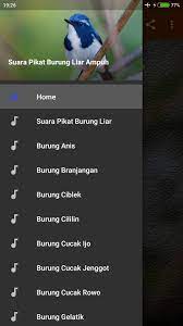 Suara Pikat Burung Liar For Android Apk Download