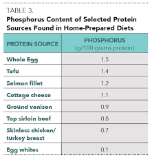 The Protein Paradigm Assessing Dietary Protein In Health