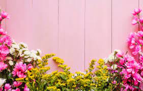Maybe you would like to learn more about one of these? Wallpaper Flowers Background Pink Pink Flowers Background Wooden Spring Floral Images For Desktop Section Cvety Download