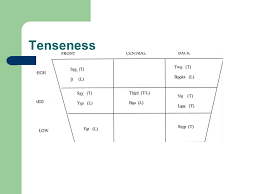 Normal Aspects Of Articulation Definitions Phonetics