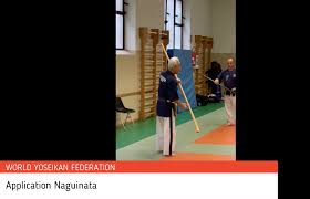 In this section we present the different sorts of clips, how to create them, and how to write them to a file. Videoshop Yoseikanwyfs Webseite